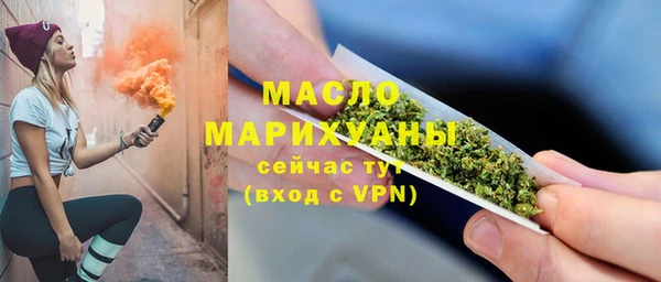 дмт Гусев