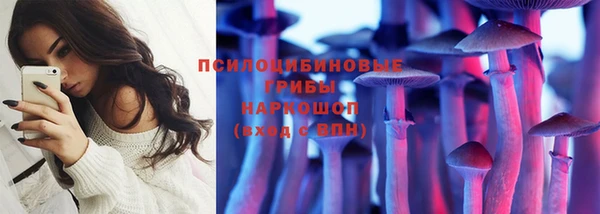 apvp Гусь-Хрустальный