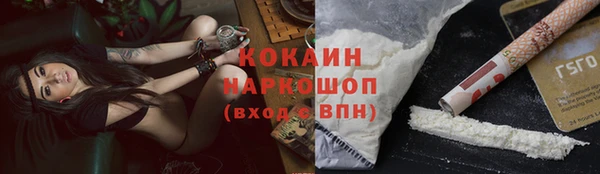 дмт Гусев