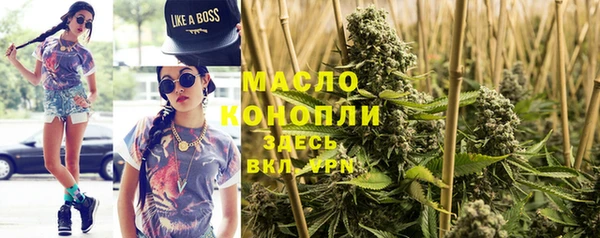 дмт Гусев