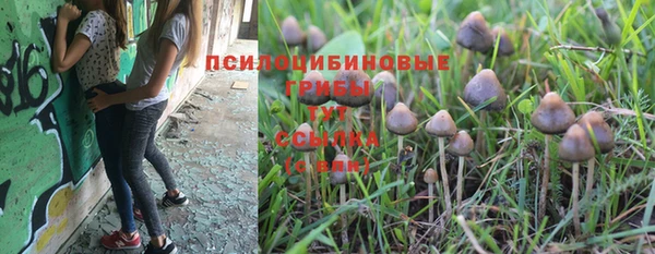 дмт Гусев