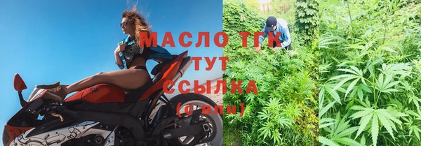 дмт Гусев