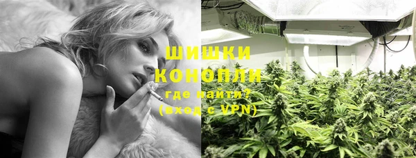 дмт Гусев