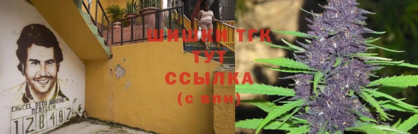 дмт Гусев