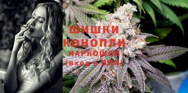 дмт Гусев