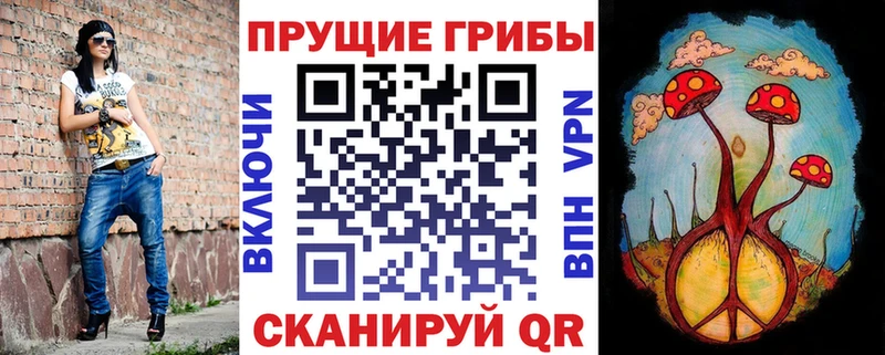 Псилоцибиновые грибы прущие грибы  Купить где  Межгорье 